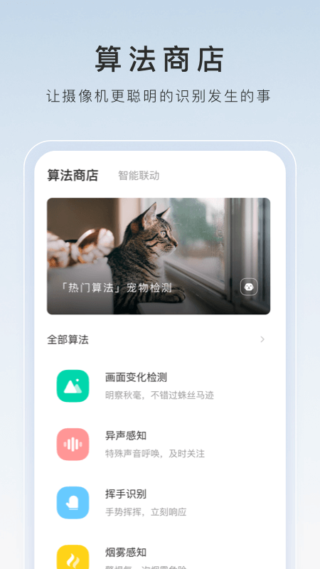 夏季穿什么袜子最舒服截图